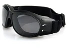 Balboa Cruiser Goggle Black Frame Anti-fog Smoked Reflective Lens BCA001R. Fixed Price $24.02.