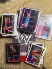 2014 Topps Wwe Cards - Base Black Relic Nxt Divas You Pick. Fixed Price $9.99.