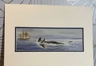 Robert Lyn Nelson Justice For Whale 11X14 Matted Print. Fixed Price $15.00.