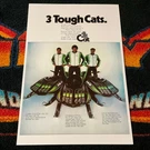 74 Arctic Cat Z Snowmobile Sno-pro Race Team Poster Vintage Sled Pdc. Fixed Price $21.88.