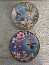 Pickard Hummingbirds And Flowers Collection Plates Cyndi Nelson 6.5" Lot Of 2. Fixed Price $16.99.